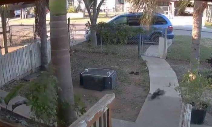 Meteoro texas REPRODUÇÃO TWITTER