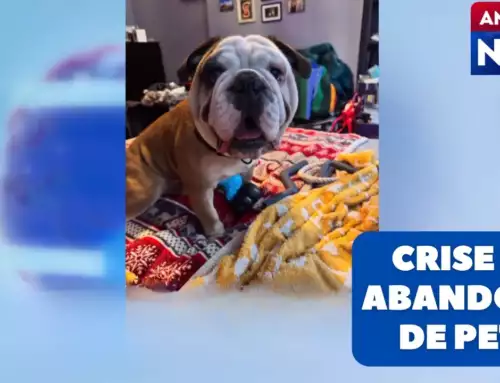 Américas No Ar – 22/07/25 – Aumento de deportações nos EUA deixa animais de estimação sem donos