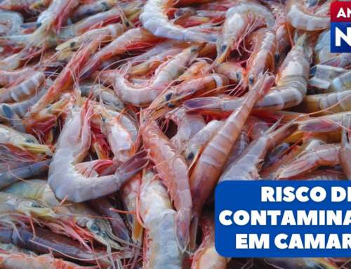 Américas No Ar – 20/08/25 – Alerta do FDA: risco de contaminação em camarão cru do Walmart nos EUA